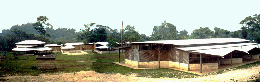 Chiapas-Sustainable design Ecodynamis