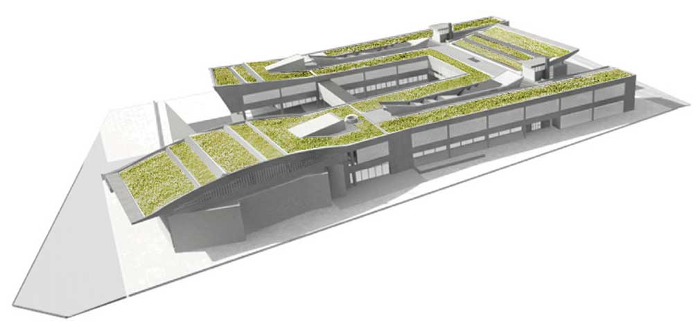 green roof